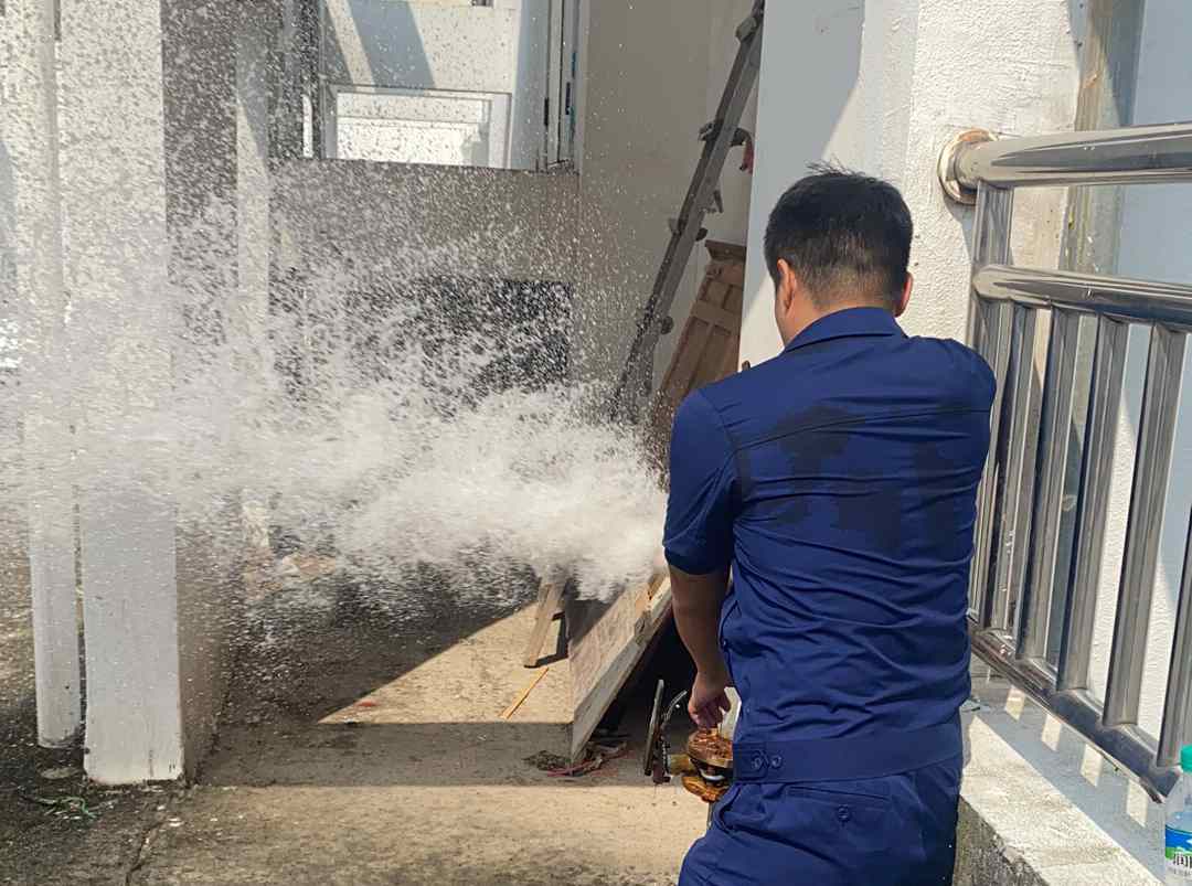 聚龍2.jpg 聚龍2.jpg